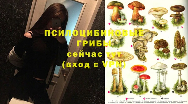сатива Алексеевка